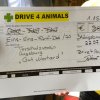 k-472_drive4animals_2018_gut